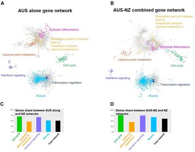 Across-Experiment Transcriptomics of Sheep Rumen Identifies Expression of Lipid/Oxo-Acid Metabolism and Muscle Cell Junction Genes Associated With Variation in Methane-Related Phenotypes